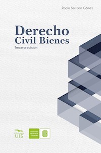 Derecho Civil Bienes - Rocío Serrano Gómez - ebook