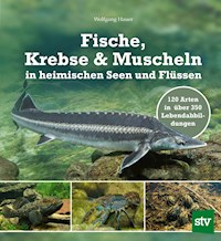 Fische, Krebse & Muscheln in heimischen Seen und Flüssen - Wolfgang Hauer - ebook