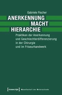 Anerkennung - Macht - Hierarchie - Gabriele Fischer - ebook