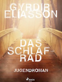 Das Schlafrad - Gyrdir Elíasson - ebook