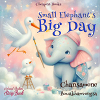 Small Elephant's Big Day - Chansamone Bouakhamvongsa - ebook