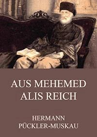 Aus Mehemed Alis Reich - Hermann Pückler-Muskau - ebook