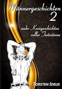 Männergeschichten 2 - Torsten Ideus - ebook