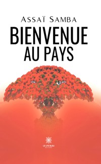 Bienvenue au pays - Assaï Samba - ebook