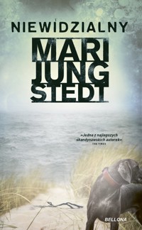 Niewidzialny - Mari Jungstedt - ebook + audiobook + książka