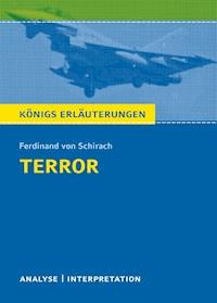 Terror. Königs Erläuterungen. - Thomas Möbius - ebook