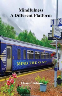 Mindfulness - A Different Platform - Eleanor Gibson - ebook