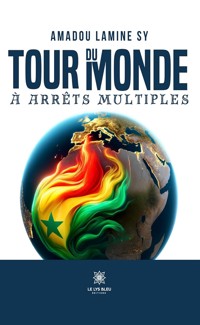 Tour du monde à arrêts multiples - Amadou Lamine Sy - ebook