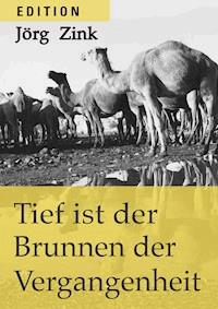 Tief ist der Brunnen der Vergangenheit - Jörg Zink - ebook