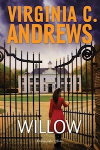 Willow - Andrews Virginia C. - książka