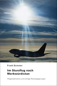 Im Sturzflug nach Merkwürdistan - Sommer Frank - ebook