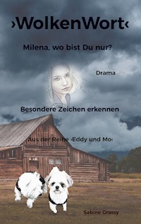 WolkenWort - Sabine Grassy - ebook