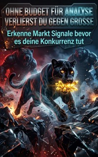 Ohne Budget für Analyse verlierst du gegen Große - Christoph Eberhardt - ebook