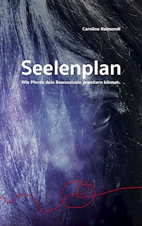 Seelenplan - Caroline Raimondi - ebook