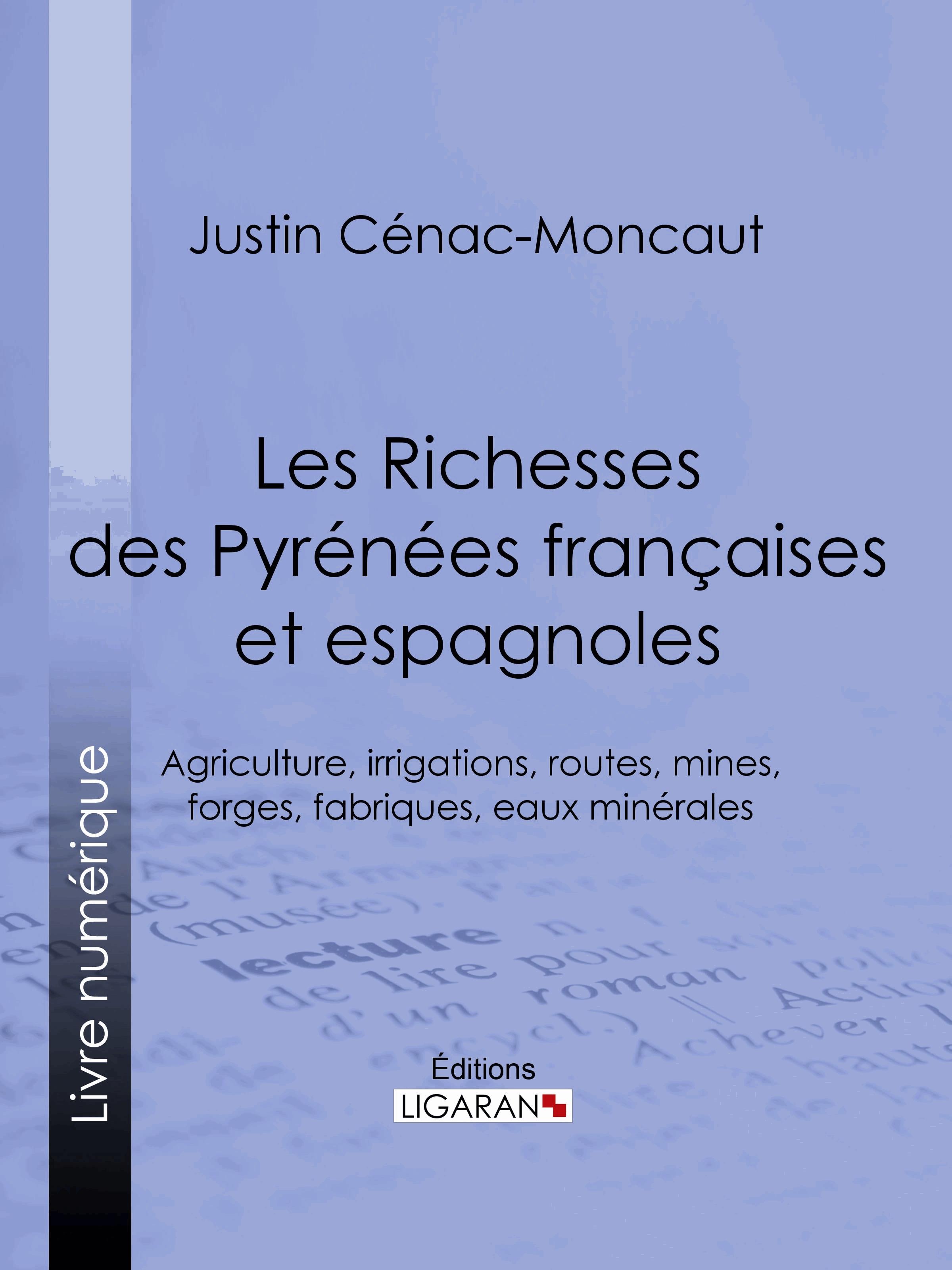 Les Richesses des Pyrénées françaises et espagnoles