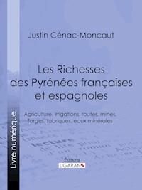 Les Richesses des Pyrénées françaises et espagnoles - Justin Cénac-Moncaut - ebook