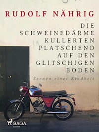 Die Schweinedärme kullerten platschend auf den glitschigen Boden - Rudolf Nährig - ebook