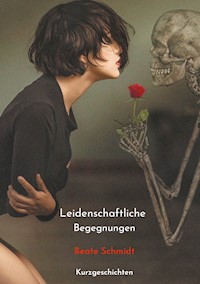 Leidenschaftliche Begegnungen - Beate Schmidt - ebook