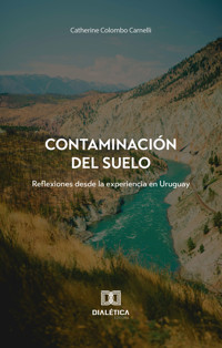 Contaminación del suelo - Catherine Colombo Carnelli - ebook