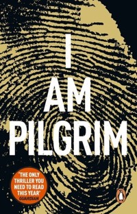 I Am Pilgrim - Hayes Terry - książka