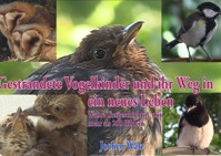 Gestrandete Vogelkinder und ihr Weg in ein neues Leben - Jochen Walz - ebook