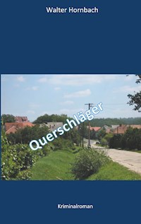 Querschläger - Walter Hornbach - ebook