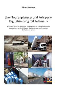 Lkw-Tourenplanung und Fuhrpark-Digitalisierung mit Telematik - Jürgen Stausberg - ebook