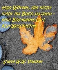 4420 Wörter, die nicht mehr ins Buch passten - eine Boy-meets-Girl Kurzgeschichte - Steve W.W. Voelker - ebook