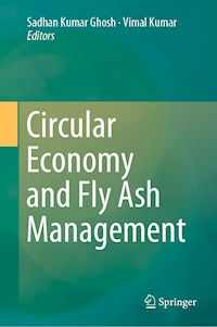 Circular Economy and Fly Ash Management -  - ebook