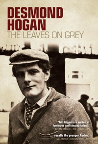 The Leaves On Grey - Desmond Hogan - ebook