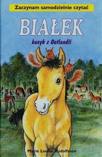 Białek kucyk z Gotlandii Tom 1 - Rudolfsson Marie Louise - książka