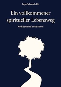 Ein vollkommener spiritueller Lebensweg - Papst Schenuda III. - ebook