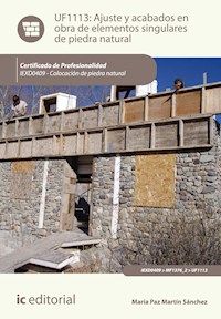 Ajuste y acabados en obra de elementos singulares de piedra natural. IEXD0409 - María Paz Martín Sánchez - ebook