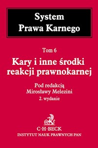 Kary i inne środki reakcji prawnokarnej System Prawa Karnego Tom 6 -  - książka