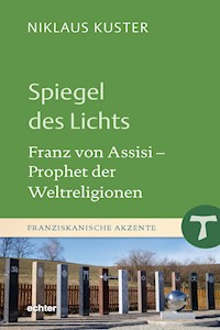 Spiegel des Lichts - Niklaus Kuster - ebook