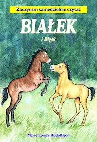 Białek i Błysk Tom 2 - Rudolfsson Marie Louise - książka