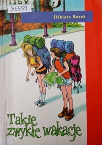 Takie zwykłe wakacje - Elżbieta Borek - ebook