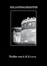 Kollateraldesaster - A.B. Exner - ebook