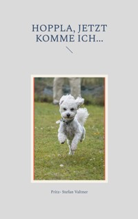 Hoppla, jetzt komme ich... - Fritz-Stefan Valtner - ebook