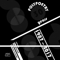 Polypoetry 30 years 1987 – 2017 - Enzo Minarelli - ebook