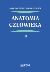 Anatomia człowieka Tom 3 - Bochenek Adam, Reicher Michał - książka