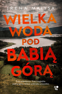 Wielka woda pod Babią Górą - Irena Małysa - ebook + audiobook