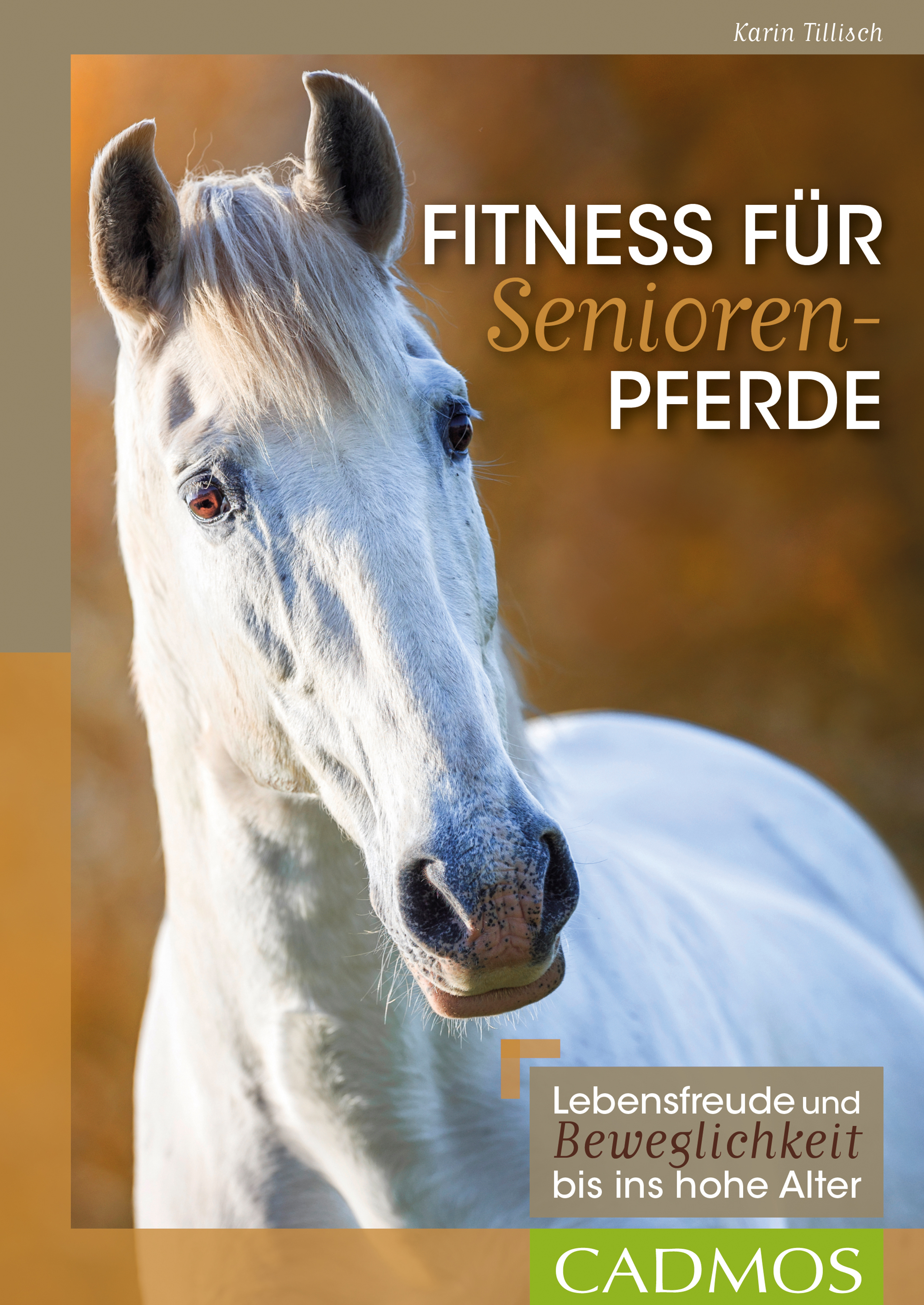 Fitness für Seniorenpferde - Karin Tillisch - ebook