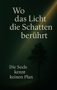 Wo das Licht die Schatten berührt - Jan Schmiedel - ebook