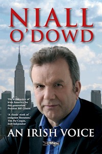 An Irish Voice - Niall O'Dowd - ebook