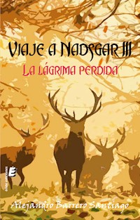 Viaje a Nadsgar III. La lágrima perdida - Alejandro Barrero Santiago - ebook