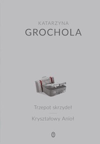 Trzepot skrzydeł Kryształowy Anioł - Katarzyna Grochola - książka