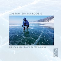 Zostawieni na lodzie - Artur Gorzelak - ebook