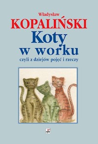 Koty w worku, czyli z dziejów pojęć i rzeczy - Władysław Kopaliński - książka