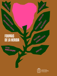 Formas de la herida - Andrea Salgado Cardona - ebook